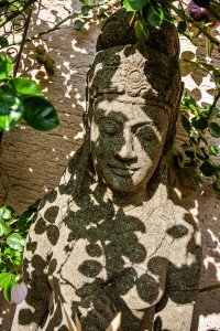 Devi im Schatten